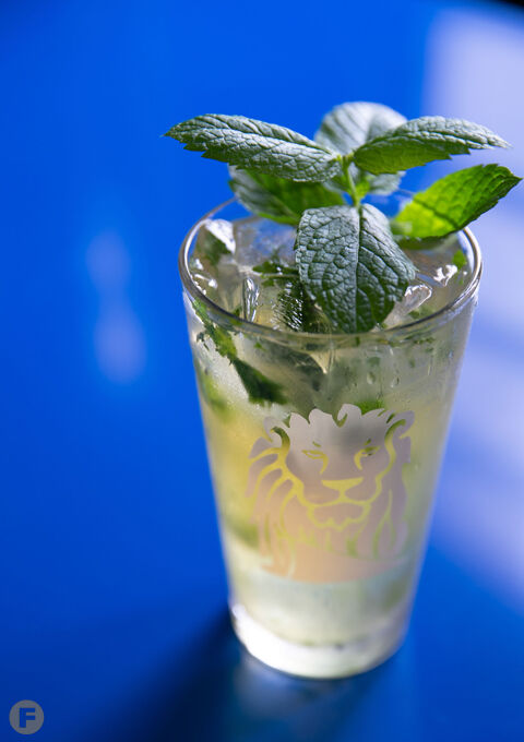 La Habana Vieja Mojito